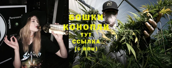 ALPHA PVP Кинешма
