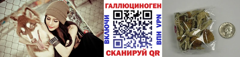 Псилоцибиновые грибы Cubensis  Купить закладки  Починок 